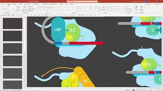 Directo 2, Parte 1: Cómo hago vídeos + Juego de inmunología