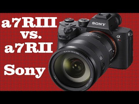 Sony A7RIII vs.  Sony A7RII | Vergleich der wichtigsten Fakten