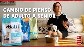 Kiwoko ¿Cuándo y por qué cambiar la dieta de tu perro adulto a senior? 🐶✅ anuncio