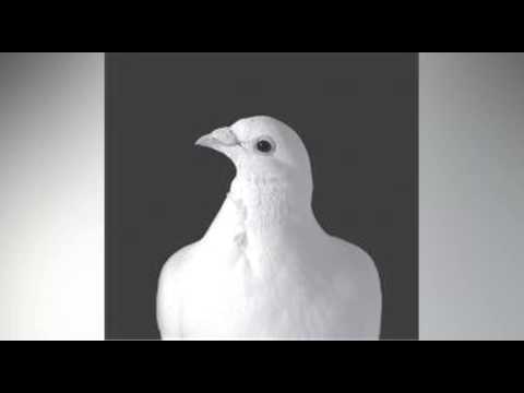 Miss NatNat - Sunbelt Regret (Wolfgang Lohr's Sonnenwende Mix) 96kbps