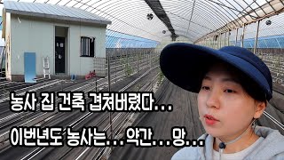 귀농 후 요즘 가장 힘들어요 -참동 ep7