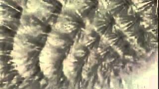 Wind On Water - ROBERT FRIPP & BRIAN ENO