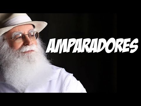 Perception of Guides and Energies - Waldo Vieira (Consciousness Studies)