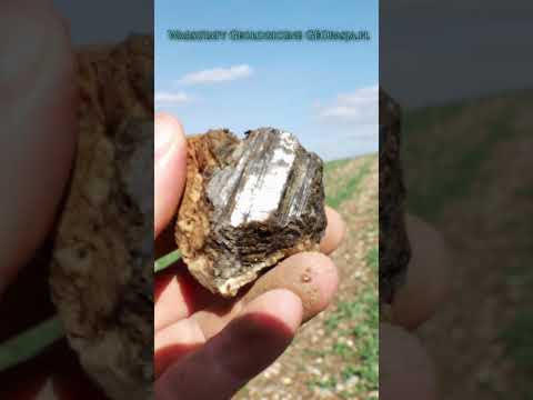 Piława Górna – Czarne turmaliny (szerle) w pegmatytach