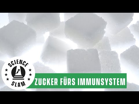 Wie Zucker* dein Immunsystem trainieren (Felix Stegmann – Science Slam)