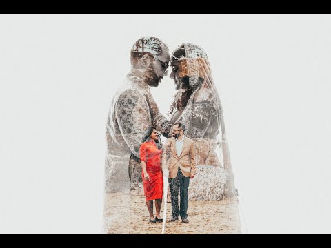 Vector Light Studio video.