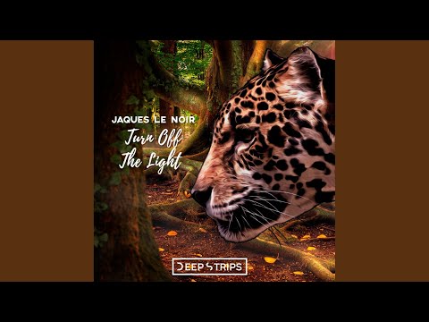 Turn Off The Light (Sandro Marini Remix)