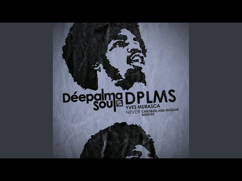 Never (Muzzaik Remix)