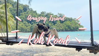 [PUG LIFE/パグ] ペットと旅行！Traveling to Koh Kood(เกาะกูด) Wonderful Island