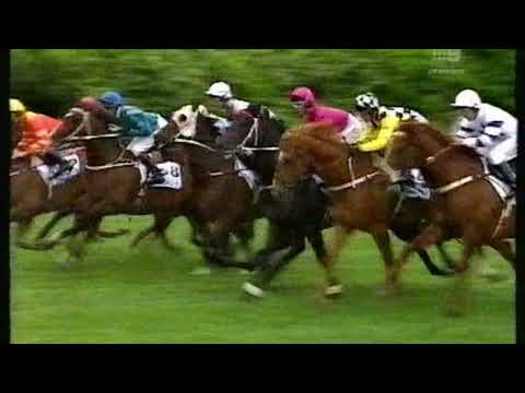 1996 WS Cox Plate - Saintly
