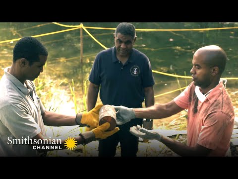 Investigators Search for Flight 507’s Missing Cockpit Voice Recorder 🔍 Air Disasters | Smithsonian