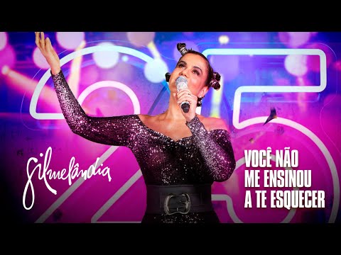 Você Não Me Ensinou A Te Esquecer (cover) - Gilmelândia