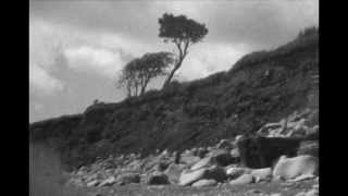 Cian Nugent & The Cosmos "Grass Above My Head"