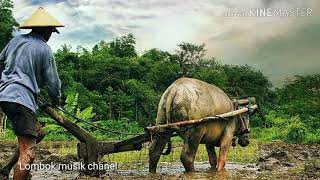 Download lagu Ulur kembang lagu sasak terbaru 2019 mp3 Download lagu Ulur kembang lagu sasak terbaru 2019 mp3