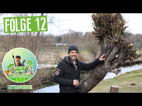 Wildes Berlin: Unterwegs mit Derk Ehlert Folge 12: Tour durch das Erpetal