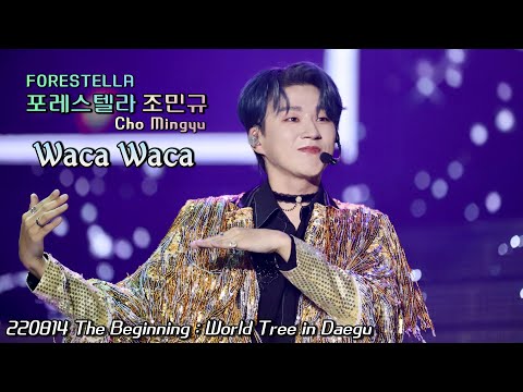 Waka Waka | 포레스텔라 조민규(Cho MinGyu) | The Beginning : World Tree in Daegu | 220814(일)