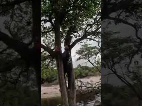 ABC DA AMAZÔNIA 🎣🤣 #pescaria #meme #amazônia #fishing