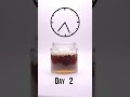Tooth In Coca Cola Coke For 7 Days Shorts