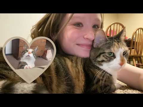 Wobbly Cat's Couch Tapping Trick Gets Her Everything She Wants!