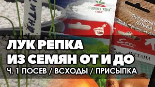 Ссылка