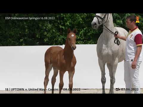 18 United Way Cassini