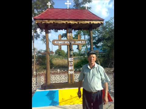 TROITA DIN COMUNA RUGINOASA, JUDETUL NEAMT, PRIMAR  NICU CHIRILA.wmv