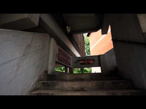 PLANAR TRACKING DYSTOPIAN YORK