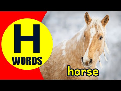 Words Starting With H - Learn Words that Start with H Sound