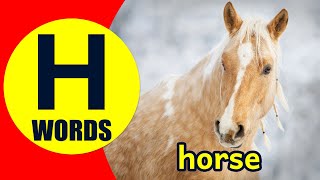 Words Starting With H - Learn Words that Start with H Sound