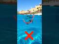 The 4 Things Killing Your Butterfly Stroke