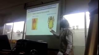 Dr Azza  Parasitology   Practical Revision 2nd Term   Part 2   YouTube