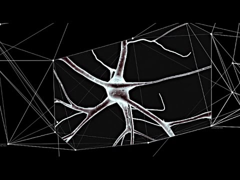 Synaptische Kommunikation