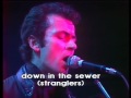 The Stranglers live in Paris (1979)