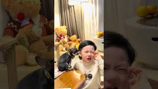 Download lagu #A few days ago a human baby caught a cold and was given some rock sugar to take medicine. mp3