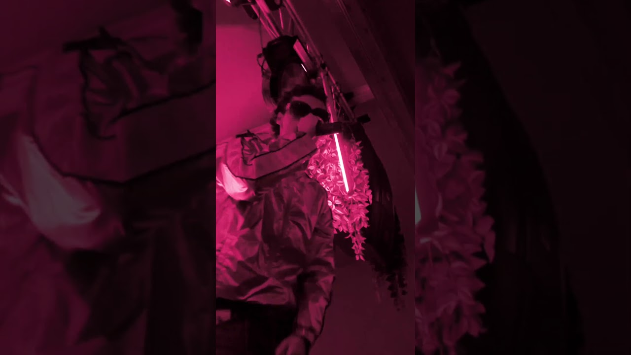 Aftermovie 1