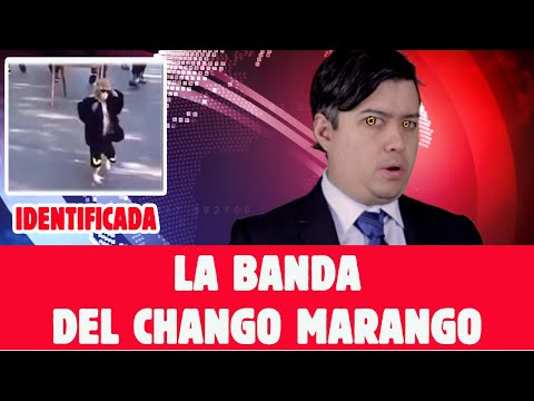 The Chango Marango Gang | News with Oscar Cisneros