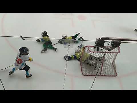 2023.03.12. Veszprém U8 sárga Vua Pandák - Ifj. Ocskay Gábor JA