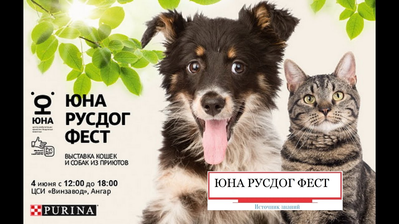 Юна РусДог Фест 04.06.2017 // Снято на Sony X3000