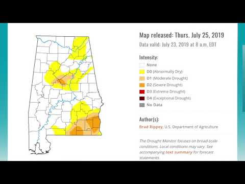 July 26 Weather Xtreme Video