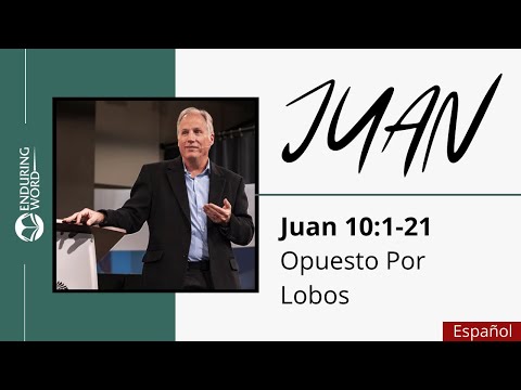 El evangelio de Juan - Juan 10:1-21 - Opuesto por Lobos