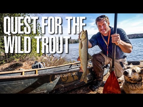 Auf der Suche nach wilden Forellen und mit dem Kanu zu unberührten Seen im Hinterland – Wasserfäl...