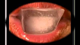 Jane Birkin. Lolita go home!-cover- (Matt)