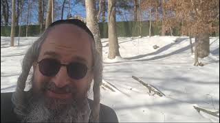 *בית המדרש הווירטואלי עמוד מוהר"ן* מתוך לימוד ה'עמוד היומי' ליקוטי מוהר"ן – דף פד' עמוד ב' תורה סז' (הרב מוטה פראנק) - התמונה מוצגת ישירות מתוך אתר האינטרנט יוטיוב. זכויות היוצרים בתמונה שייכות ליוצרה. קישור קרדיט למקור התוכן נמצא בתוך דף הסרטון