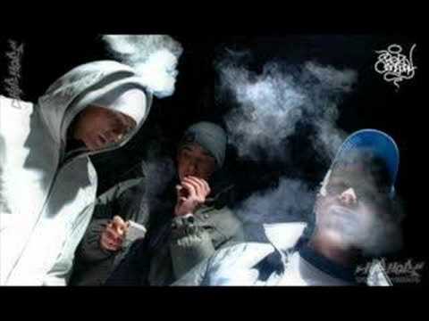 Reposta - Szara rzeczywistosc