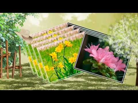 Florizel -- Les Valses De Vienne