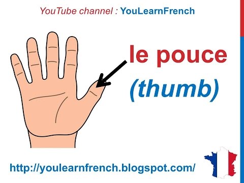 French Lesson 31 - BODY VOCABULARY Finger names - Les doigts de la main Dedos de la mano en francés