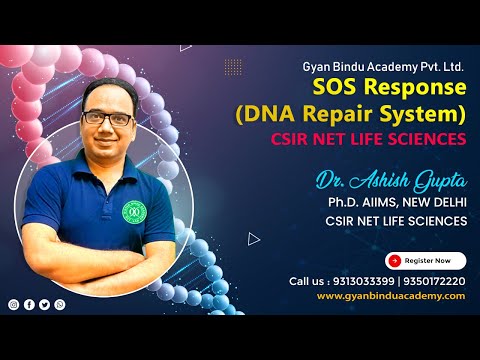 Gyan Bindu IAS Academy Delhi Video 1