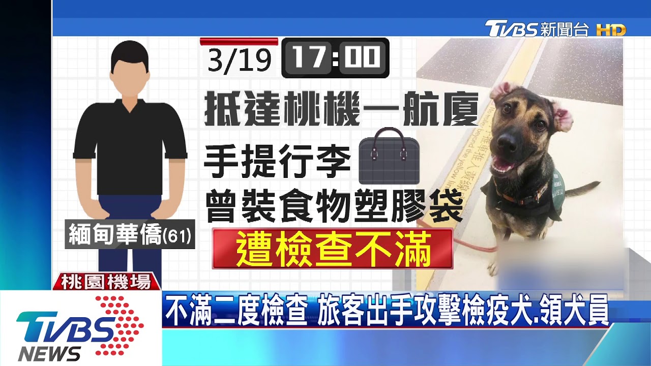 不滿二度檢查　旅客出手攻擊檢疫犬、領犬員