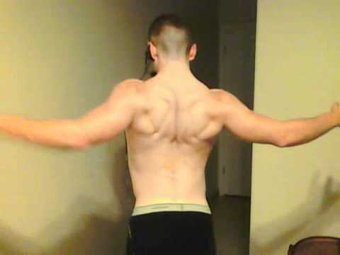 Scivation, On, Kre-Alkalyn supplement stack review May 28,2011 (Post-WO back)