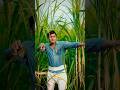 Main Hawa Me Hoon Ll Vishal Rajput Shorts Vishalsinghrajput Celebratewithshorts
